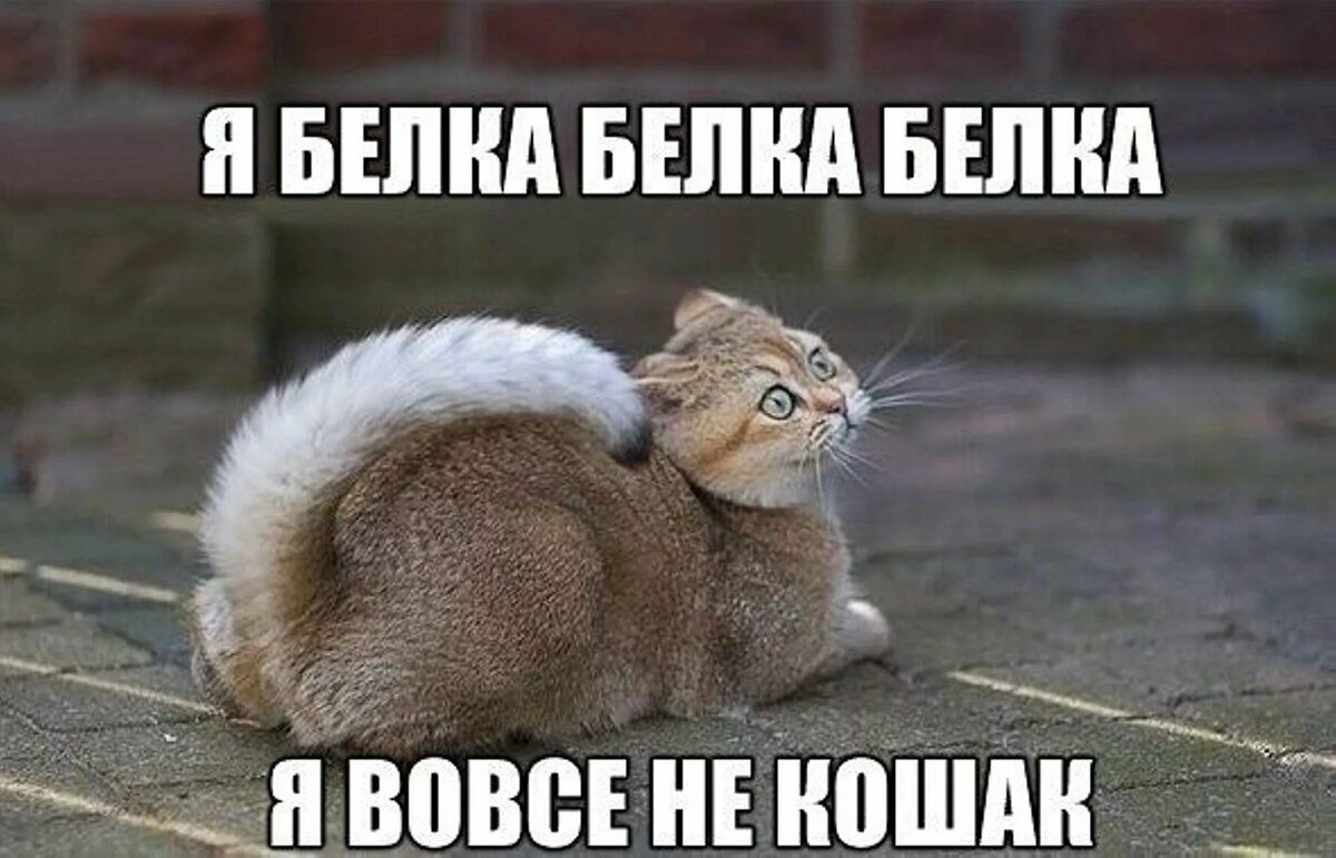 _ __ _ Д 3080 Е ВШМ
