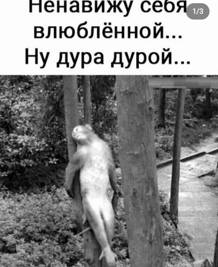 енавижу СЭОЯФ влюблённой Ну дура дурой