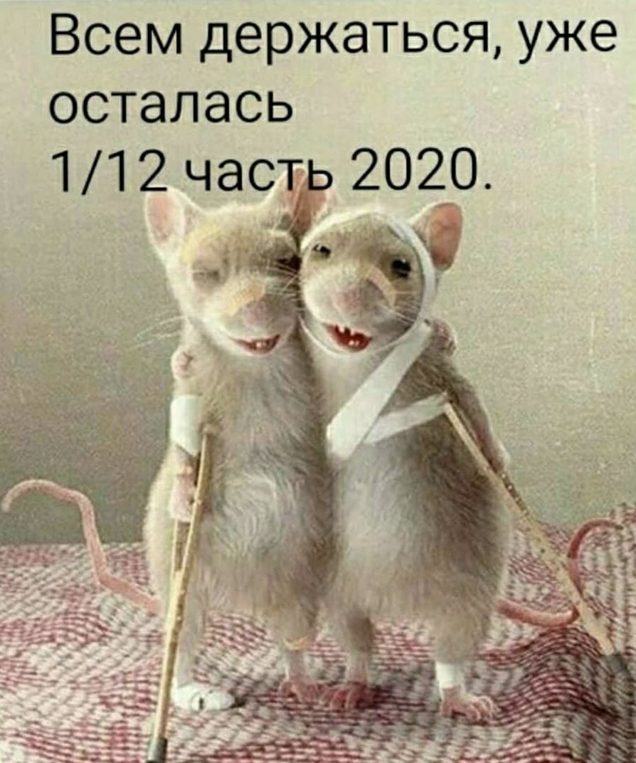 Всем держаться уже осталась 112 част 20 20