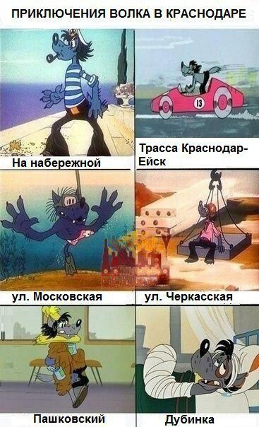 ПРИКЛЮЧЕНИЯ ВОПКА В КРАСНОДАРЕ Трасса Краснодар Ейск Пашковский дубинка