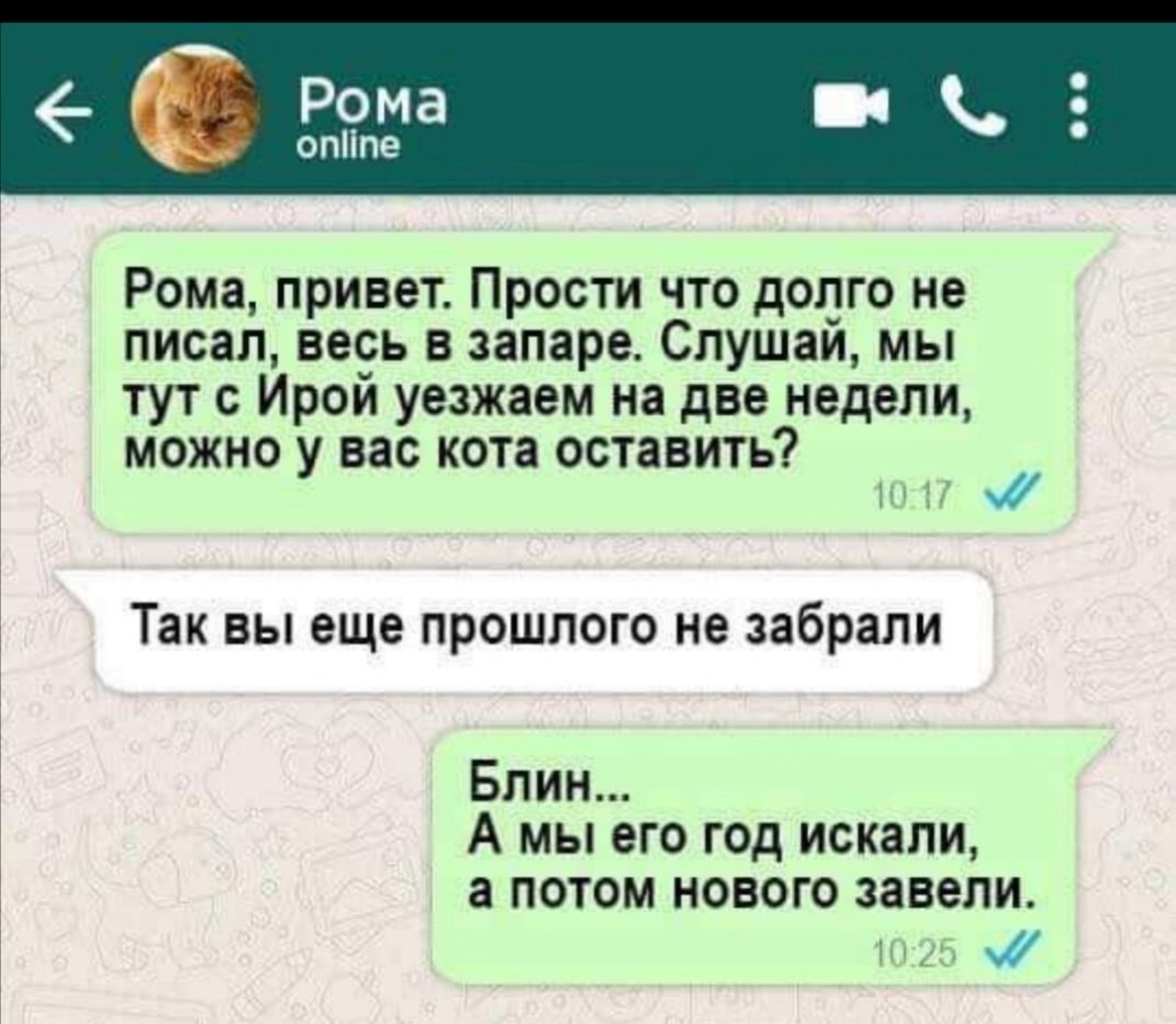 Рома привет Прости что долго не писал весь в запаре Слушай мы тут с Йрой уезжаем на две недели можно у вас кота оставить Так вы еще прошлого не забрали Блин А мы его год искали а потом нового завели