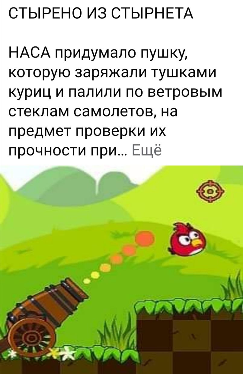 СТЫ РЕНО ИЗ СТЫРН ЕТА НАСА придумало пушку которую заряжали туш ками куриц и палили по ветровым стеклам самолетов на предмет проверки их прочности при Ещё