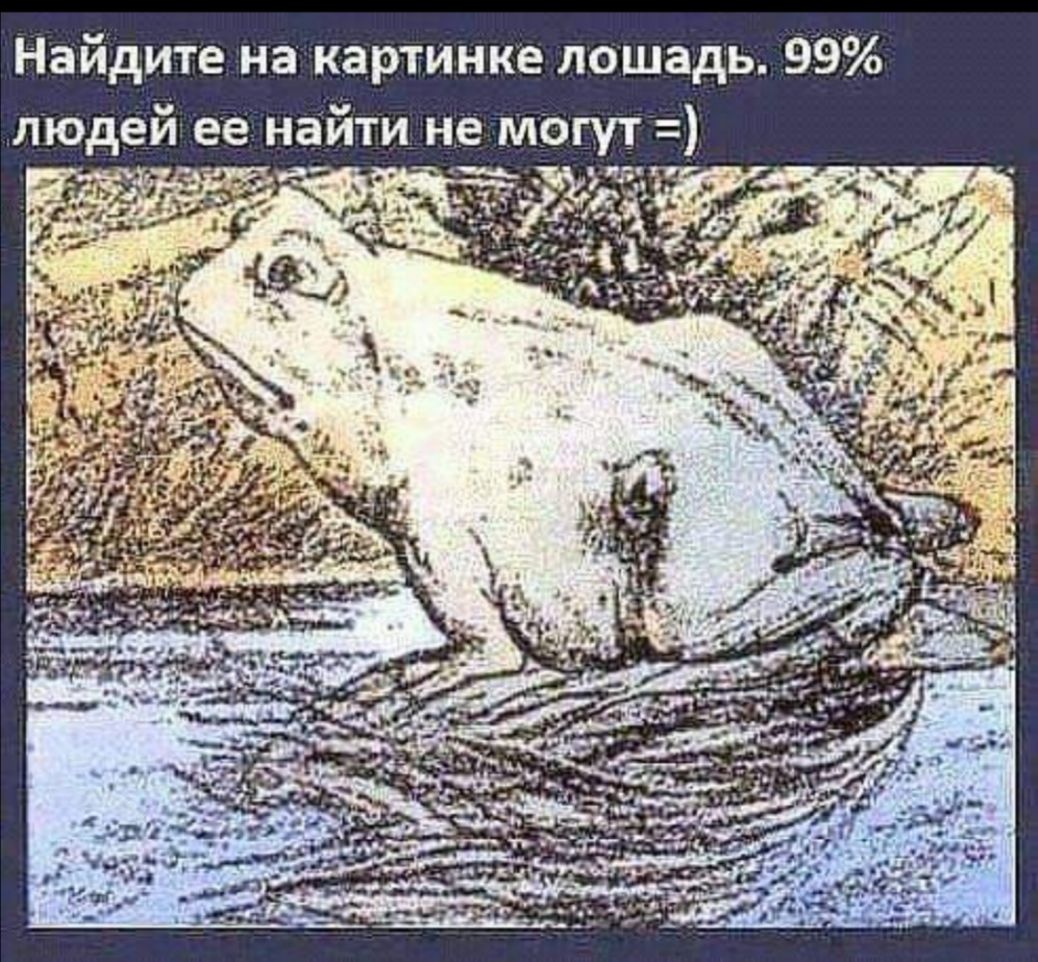 Найдите на картинке лошадь 99 людей ее найти не могут