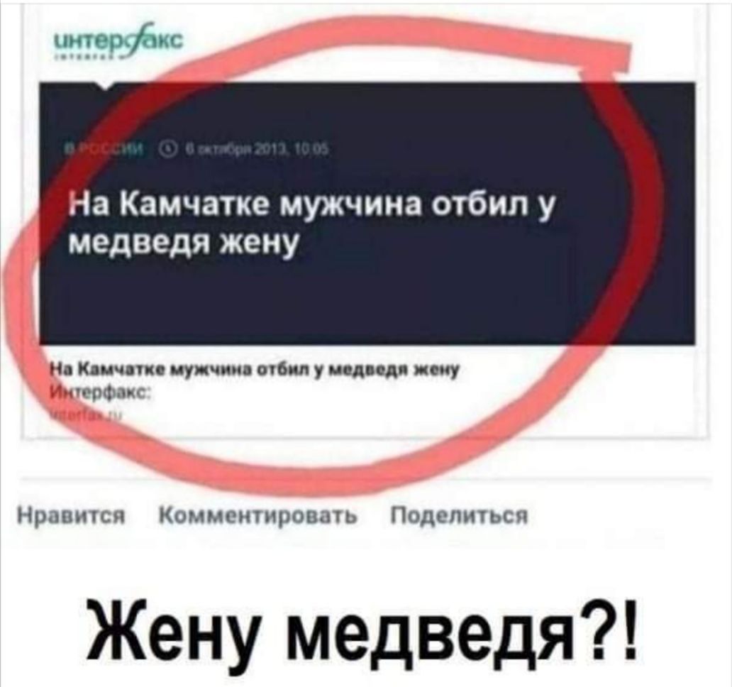 На Камчатке мужчина отбил у медведя жену Нд Клич тп мужчин отбил у иодид дочу торфа Нравится Комментировать Поделиться Жену медведя