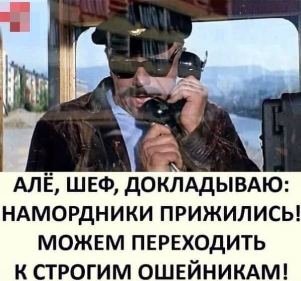 АЛЁ швф доклддывдю ндмордники прижилисы можем переходить к строгим ОШЕЙНИКАМ