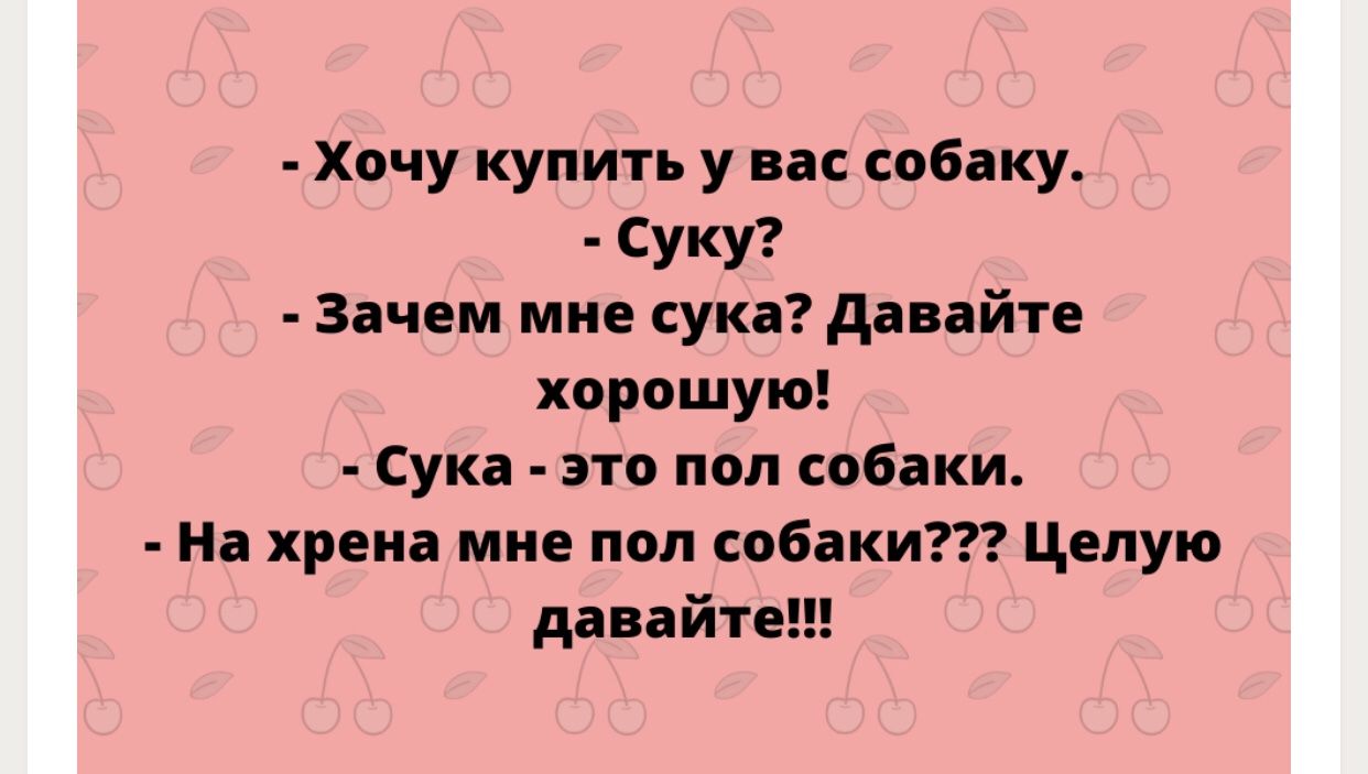 Хочу купить у вас собаку Суку Зачем мне сука давайте хорошую Сука это пол собаки На хрена мне под собаки Целую давайте