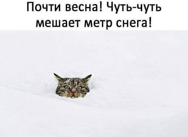 Почти весна Чутьчуть мешает метр снега
