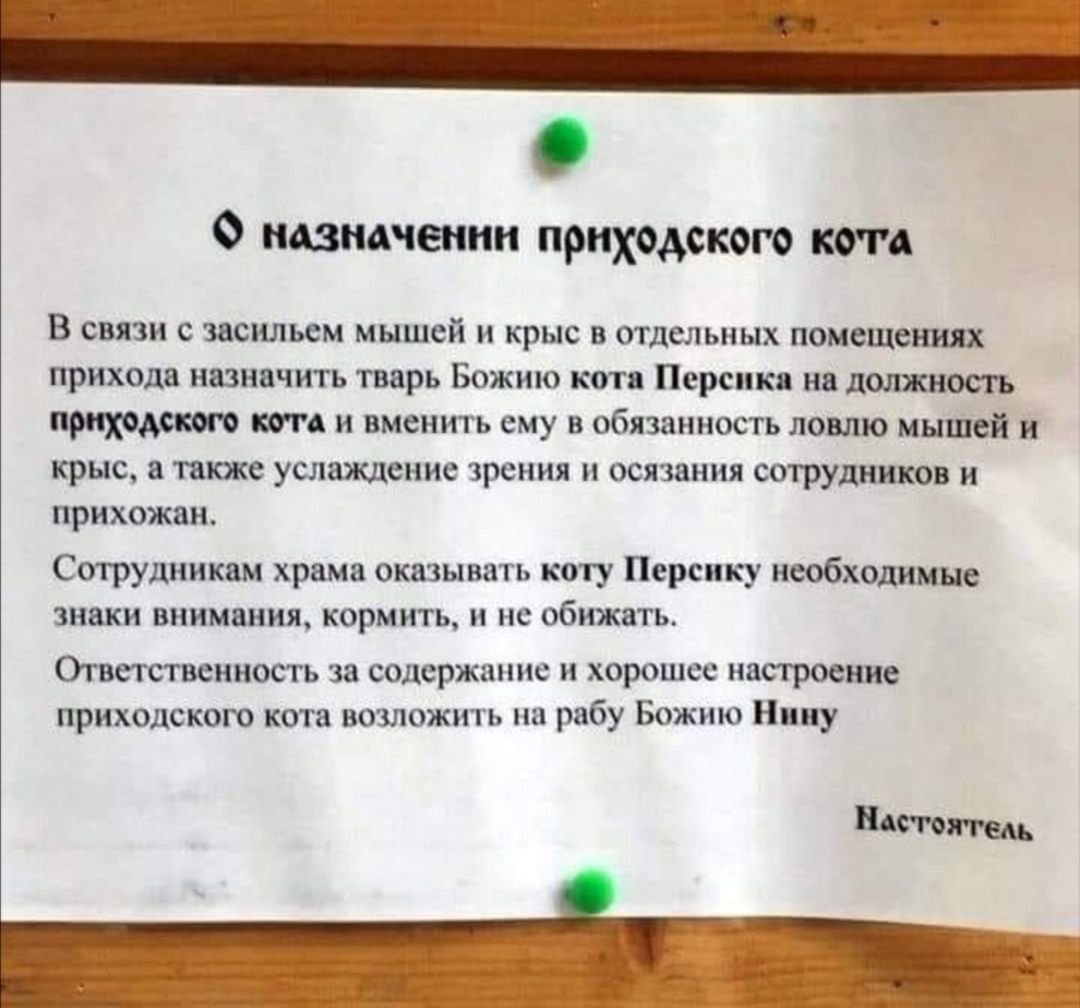 назначении приходского кота В связи с засильем мышей и крыс в отдельных помещениях прихода назначить тварь Божию котя Персики на пышность приходского тд и вменить ему в обязанность ловлю мышей и крыс также услаждение зрения осязания соТрУдников и прихожан Сотрудникам храма оказывать коту Персику необходимые знаки внимания кормить и не обижать Ответственность за содержанию и хорошее настроение прих