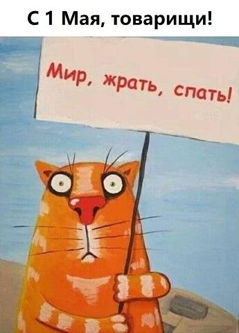 С 1 Мая товарищи Мир Фан СГЮТЬ