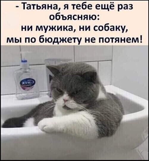 Татьяна я тебе ещё раз объясняю ни мужика ни собаку мы по бюджету не потянем _