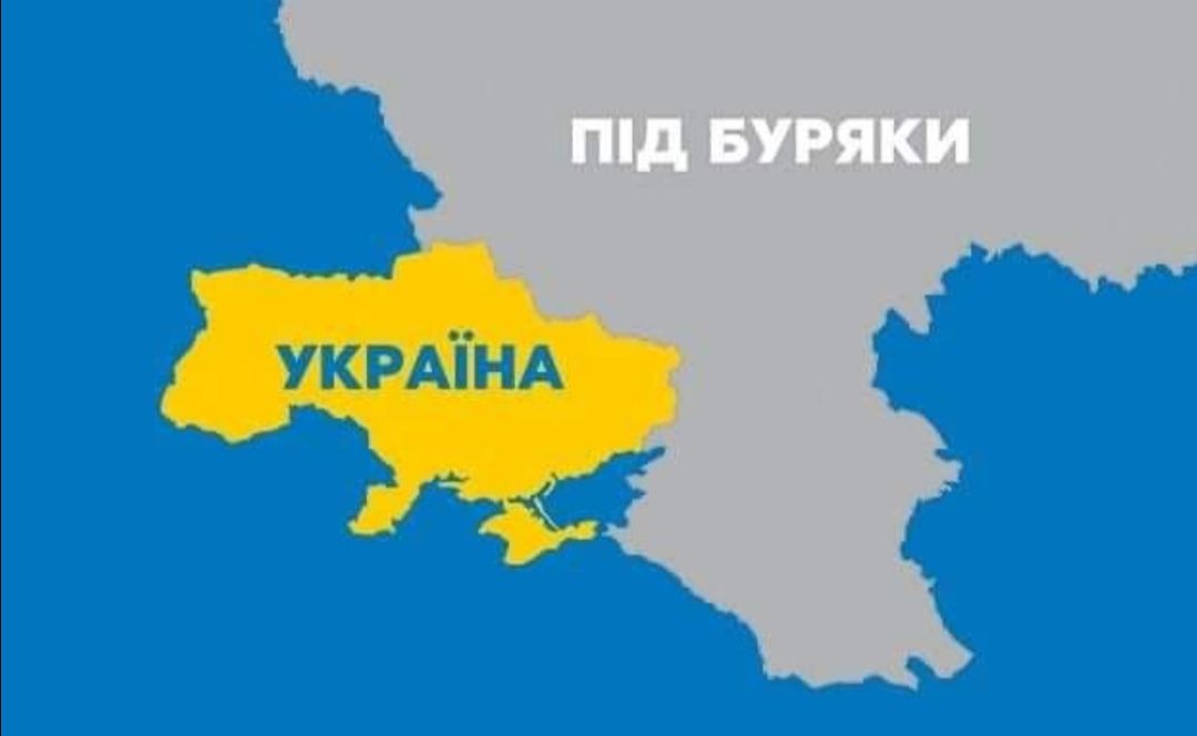 мышами