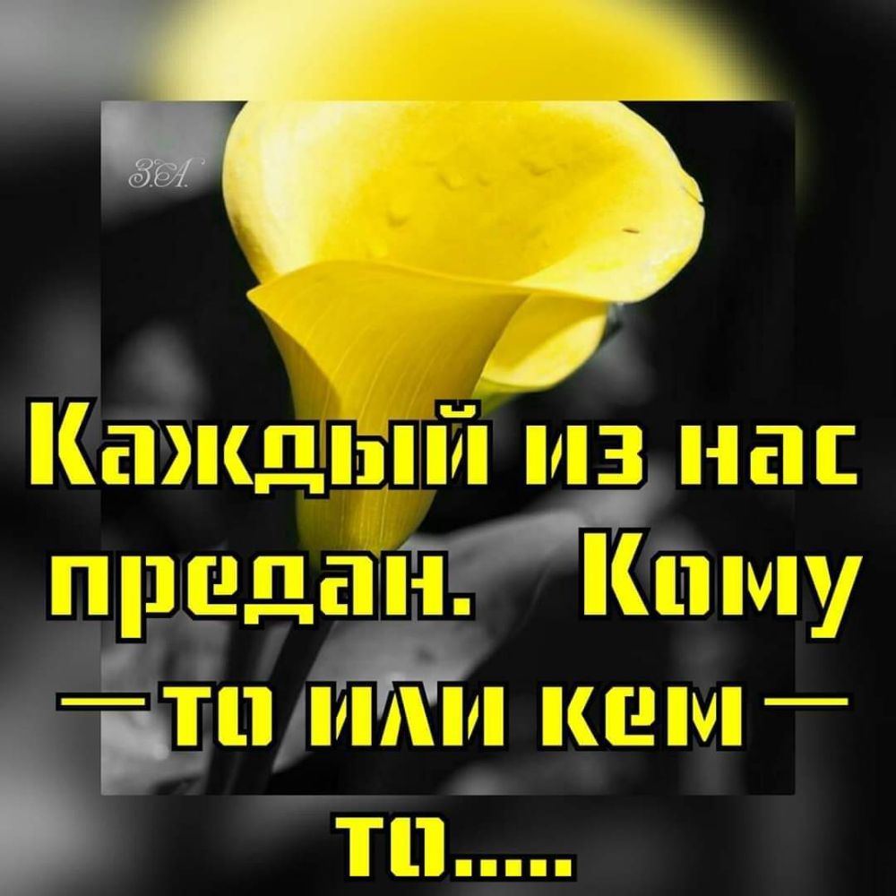 75 Ёажщгшй ЪШ НЁшпмиу ППЁЁПП Ыьип ТГПШШПП