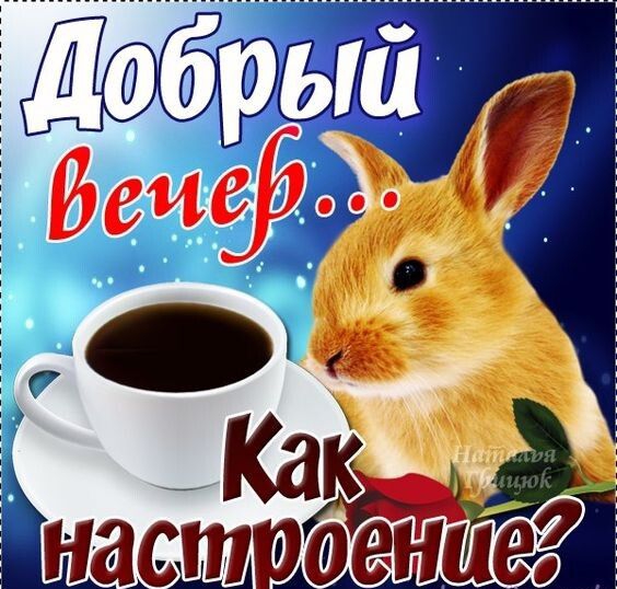 называете