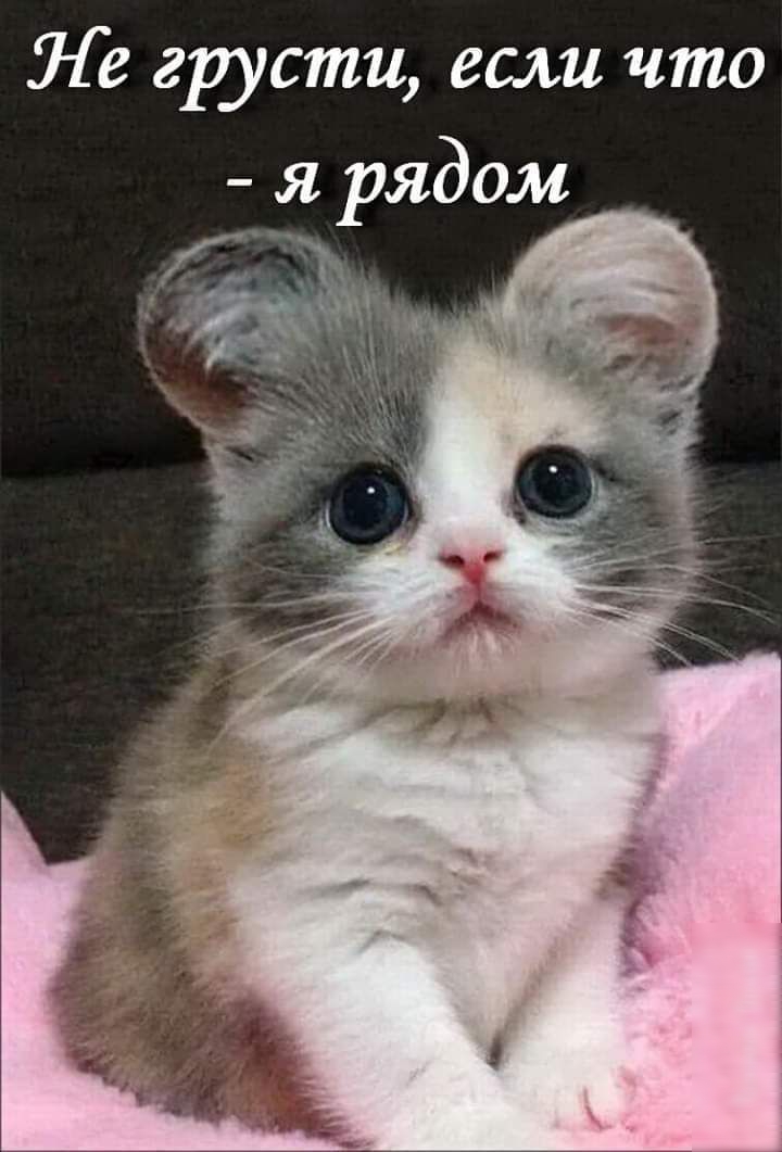 Ле грусти если что