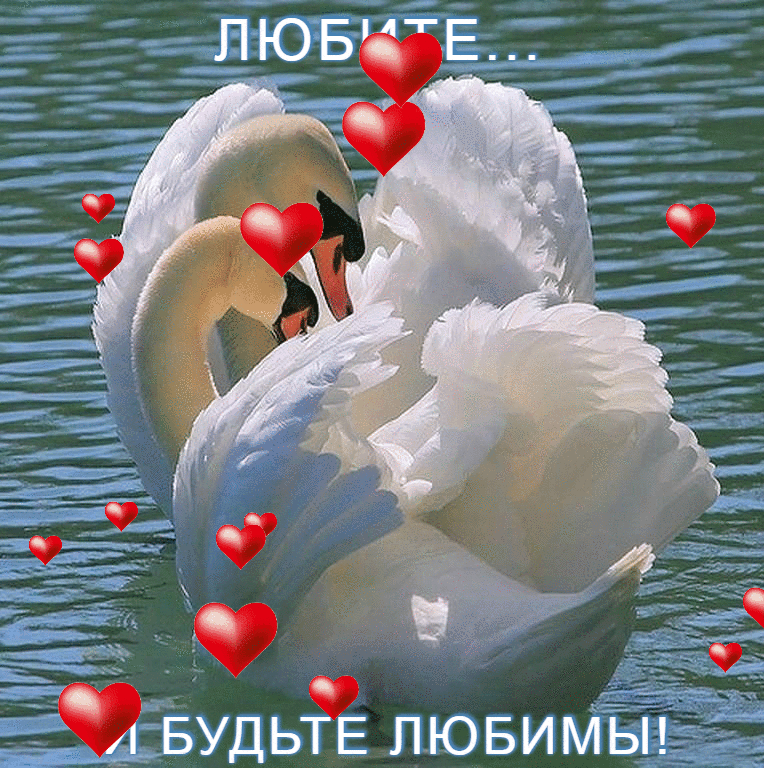 Буд ЫЁ л ю БИ МЕГ