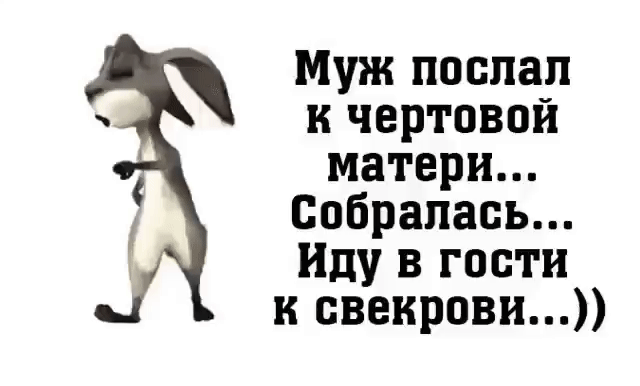 Муж поспал к чертовой матери Собралась Иду в гости к свекрови