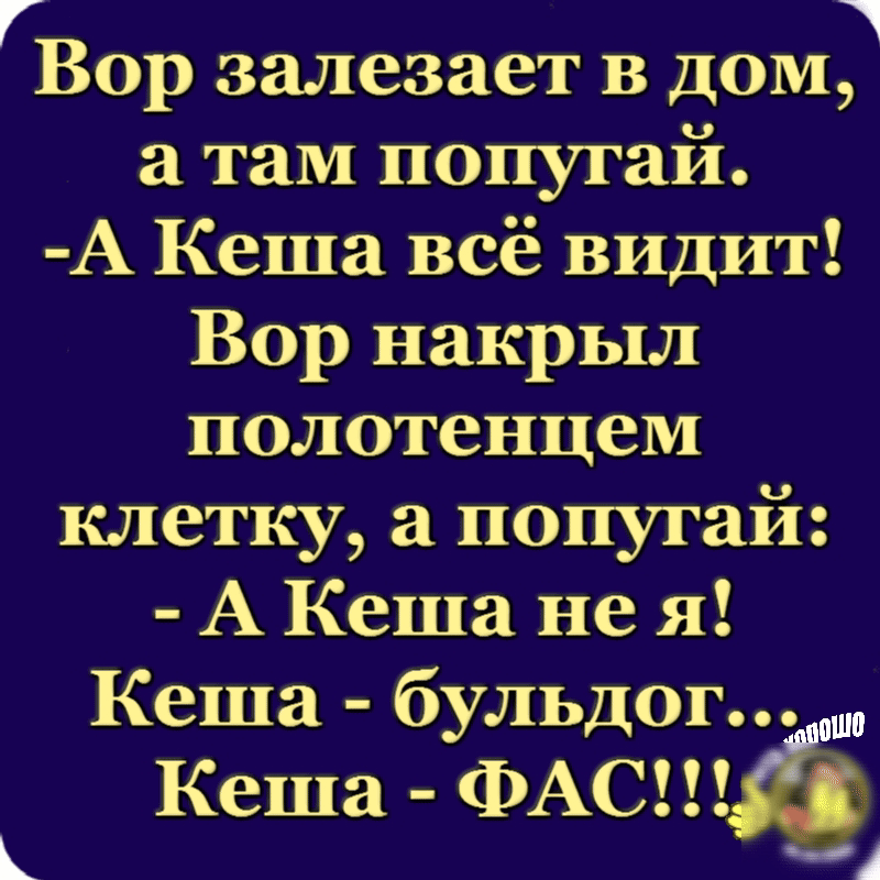 г 1 Вор залезает в дом а там попугай А Кеша всё видит Вор накрыл полотенцем клетку а попугай А Кеша не я Кеша бульдог Кеша ФАС ь