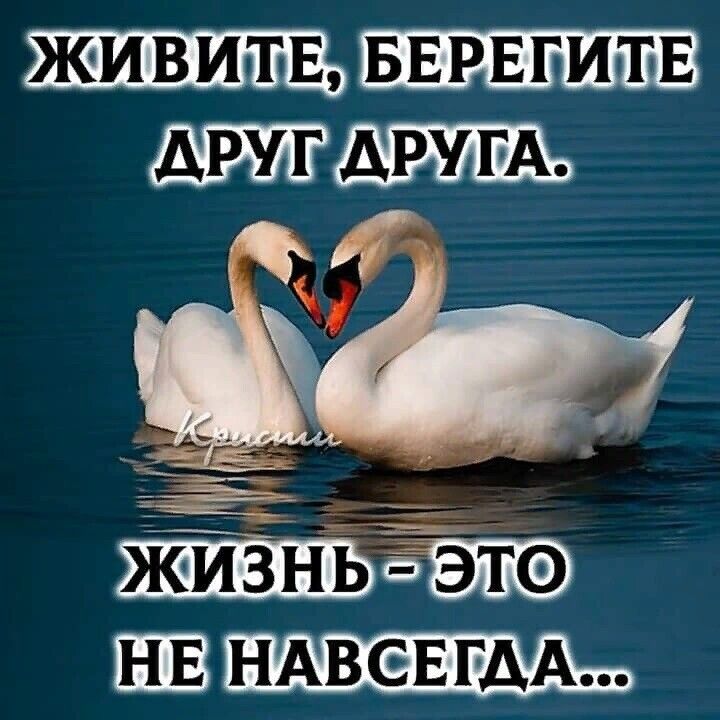 БЕРЕГИШЕ г 5 эта ШЗ НАВЕЕГДА