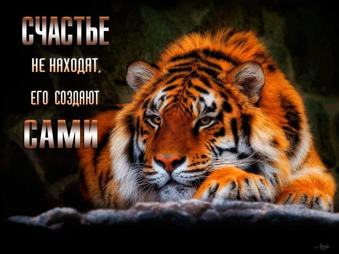 ЬЧдШЫ НЕ ННХПДНТ ЕП ЕПЗЛНЮТ нуинь
