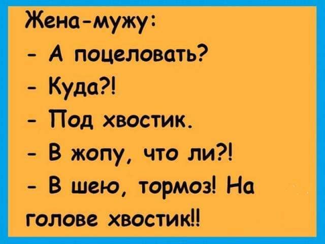 Женамужу А поцеловать Куда Под хвостик В жопу что ли В шью тормоз На голове хшостиші