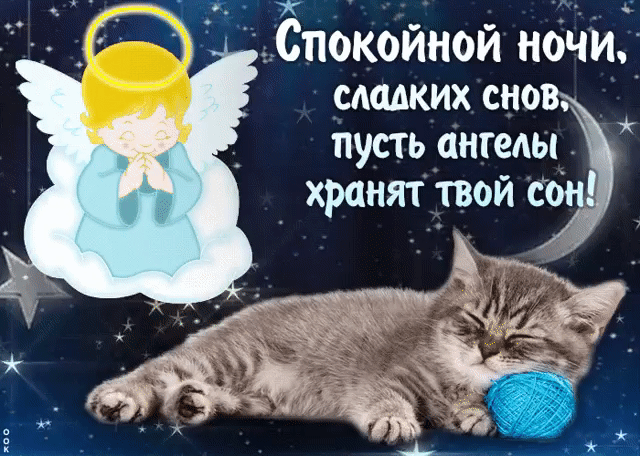 Спокойной ночи сладких СНОВ пусть ангелы хранят твой сон