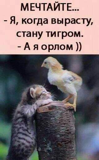 МЕЧТАЙТЕ Я когда вырасту ста ну ти гром А я орлом