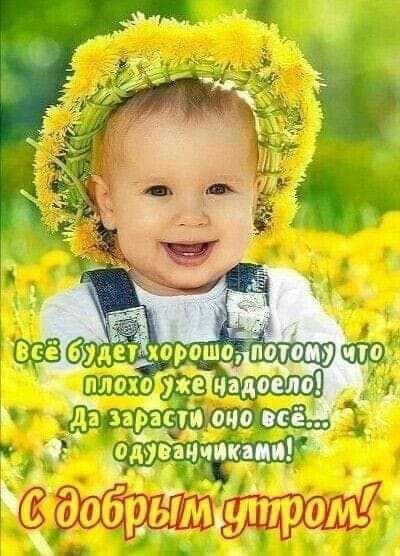 д а при лир _7 а ЁЁЁниик д Р