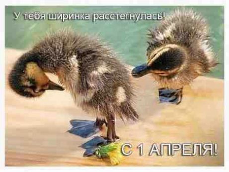 щита есааіарлшэч Ф