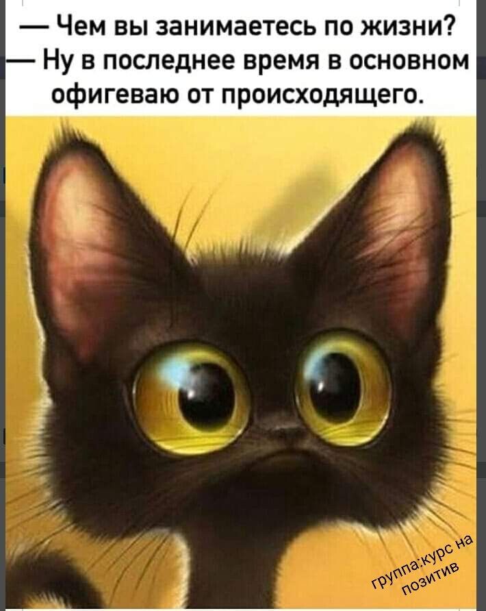 Чем вы занимаетесь по жизни Ну в последнее время в основном офигеваю от происходящего
