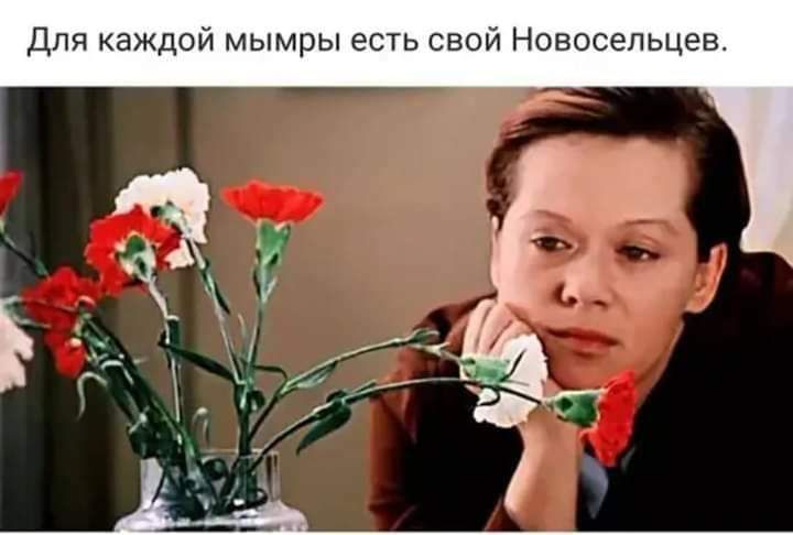 Для каждой мымры есть свой Новосельцев