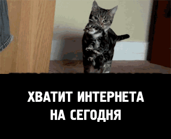 ХВАТИТ ИНТЕРНЕТА НА СЕГПдНЯ
