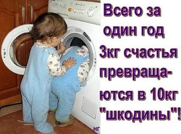 Беею за _ дин гад Зкт счастья _ пшрёвращав с шкодины