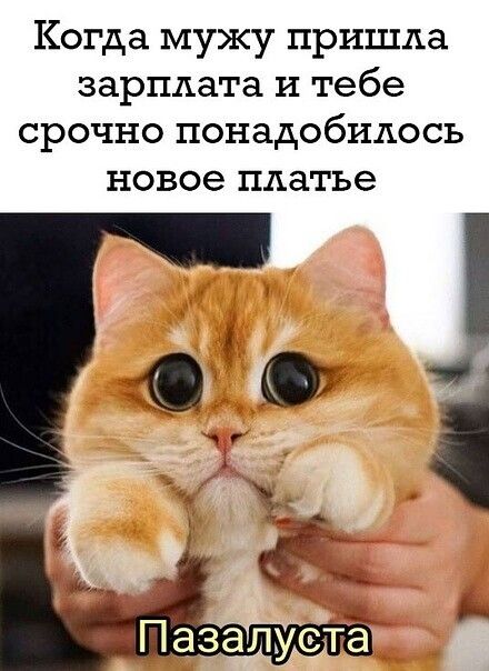 Когда мужу пришла зарплата и тебе срочно понадобилось новое платье