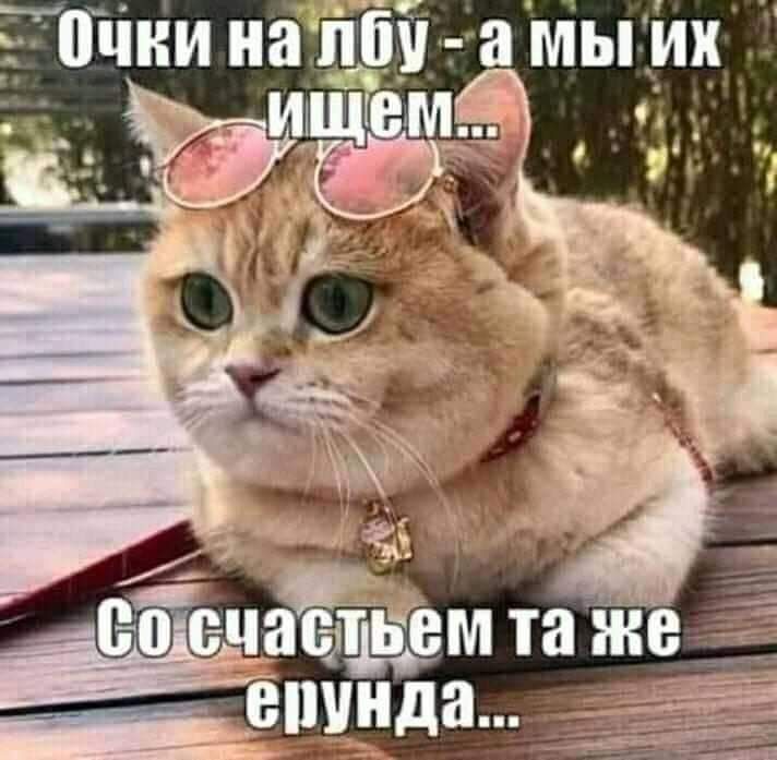 дочнинатіу аМы__и_и им _