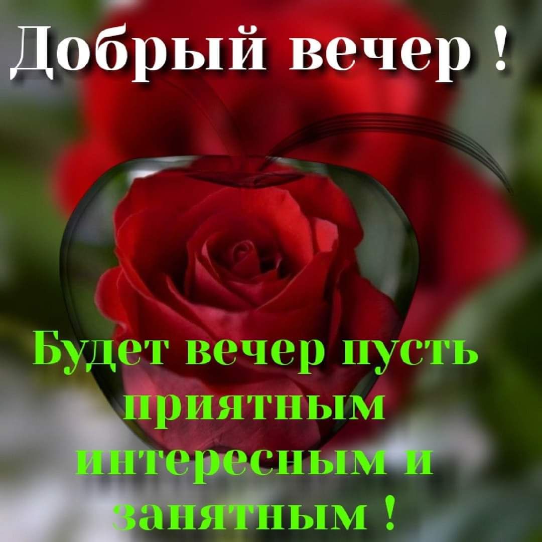Ёобрый вечер Будет вечер пуеті Ёриятным дд Ц Вы