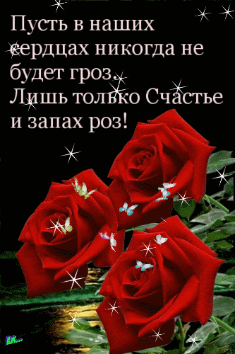 Пусть в наших ердцах никогда не будет гроз Щдшь толйёо СчЁстье и запах роз