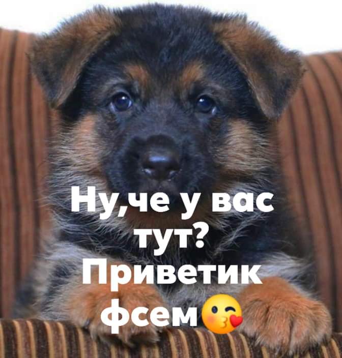 Ну че у вас тут? Ве  оу,