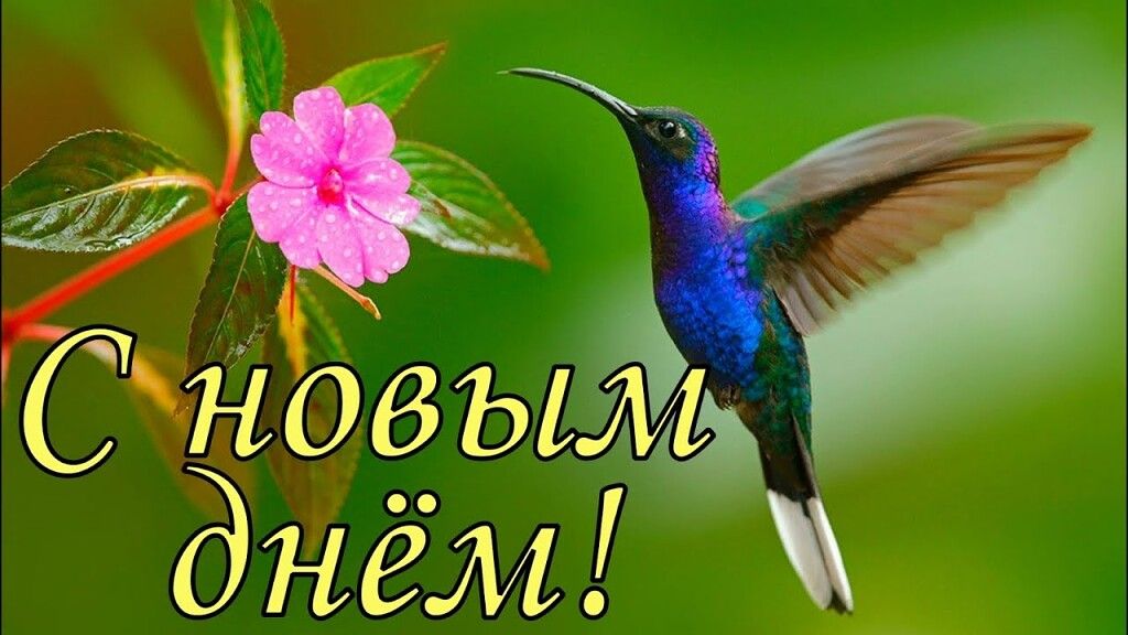 Р  сновыудй днём! Ш