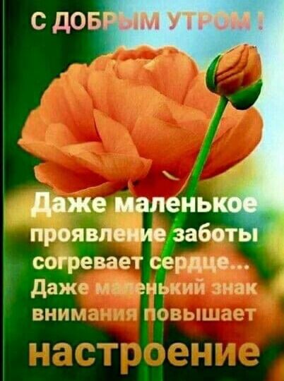 даже малень проявление заботь согревает сердце Дажг и чэньдий но ВНИБ ГС __
