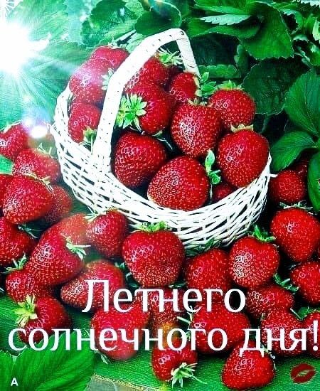 ЭГО ёбпнечноіо _ ЪЁЁГГЧ
