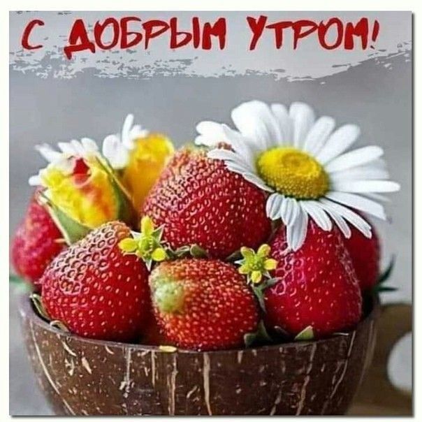 таща ута