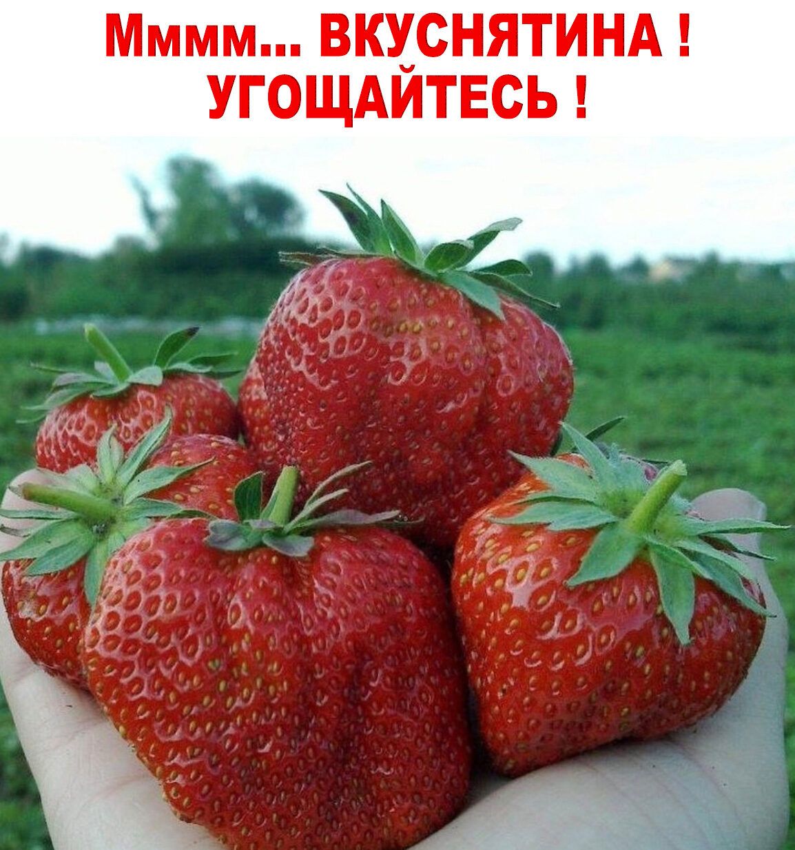 Мммм ВКУ_СНЯТИНА УГОЩАИТЕСЬ