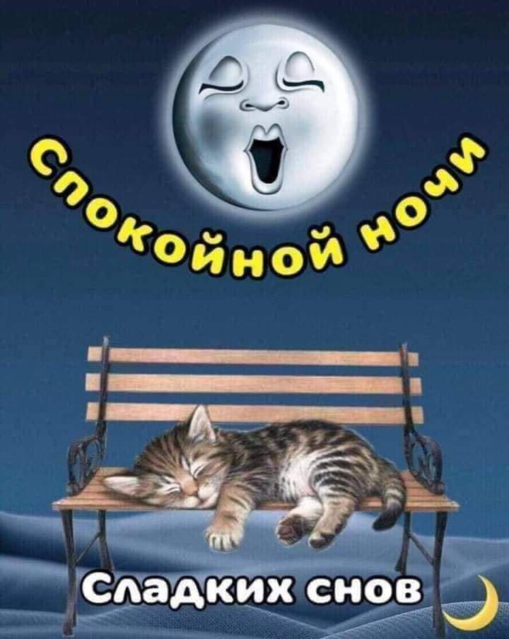 7 сладкихснов: ё мыыы   сооменый  оч
