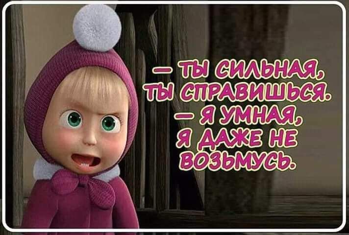 шеидьнмз чты ты справишжя 358 Е ВФЗЫЁУСЭ