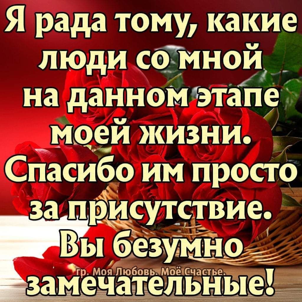 Спасибо что вы есть в моей жизни картинки