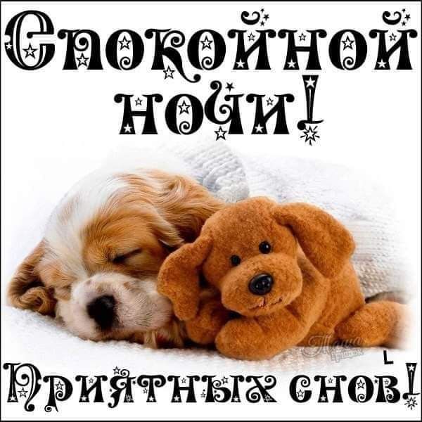Ыйнэй Нёиё рийчгнъше дитё