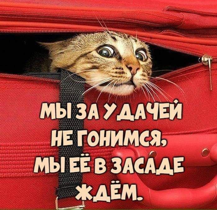 н гонимся мы ЕЁ в эмм хмм