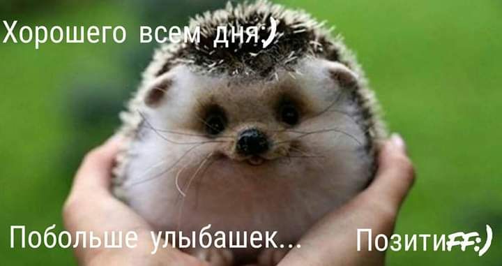 Хорошего в