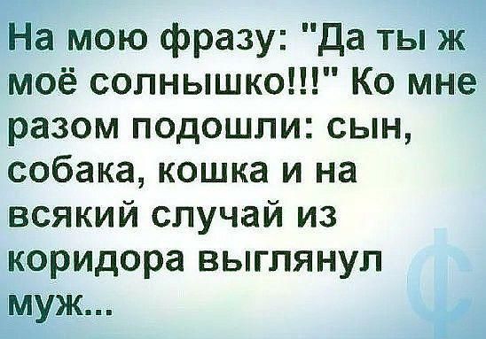 На мою фразу да ты ж моё солнышко Ко мне разом подошли сын собака кошка и на всякий случай из коридора выглянул муж
