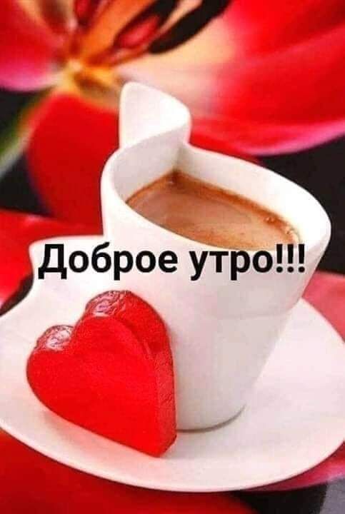 к я 1 ДоЁроё утро _ и